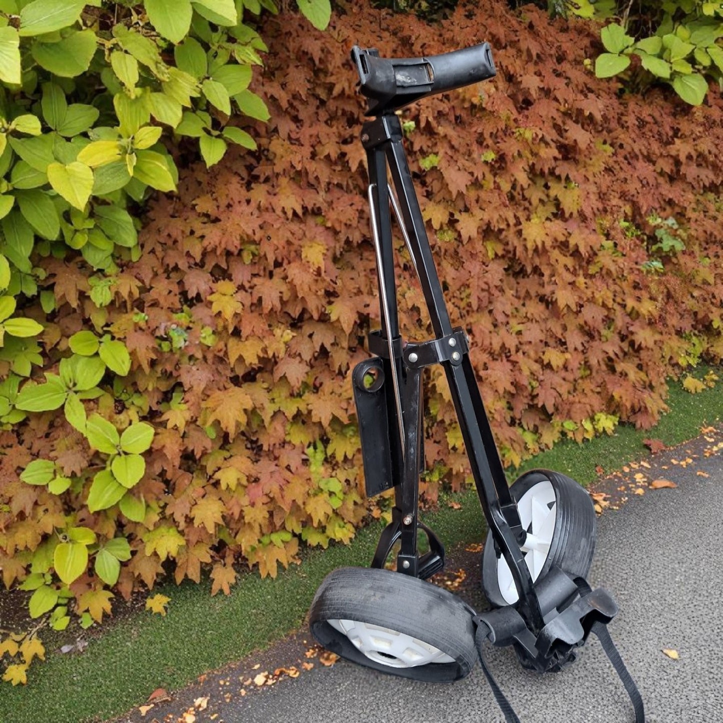 Hippo Golf Trolley.  Black, Collapsible, 2 Wheels. Some minor wear but vgc