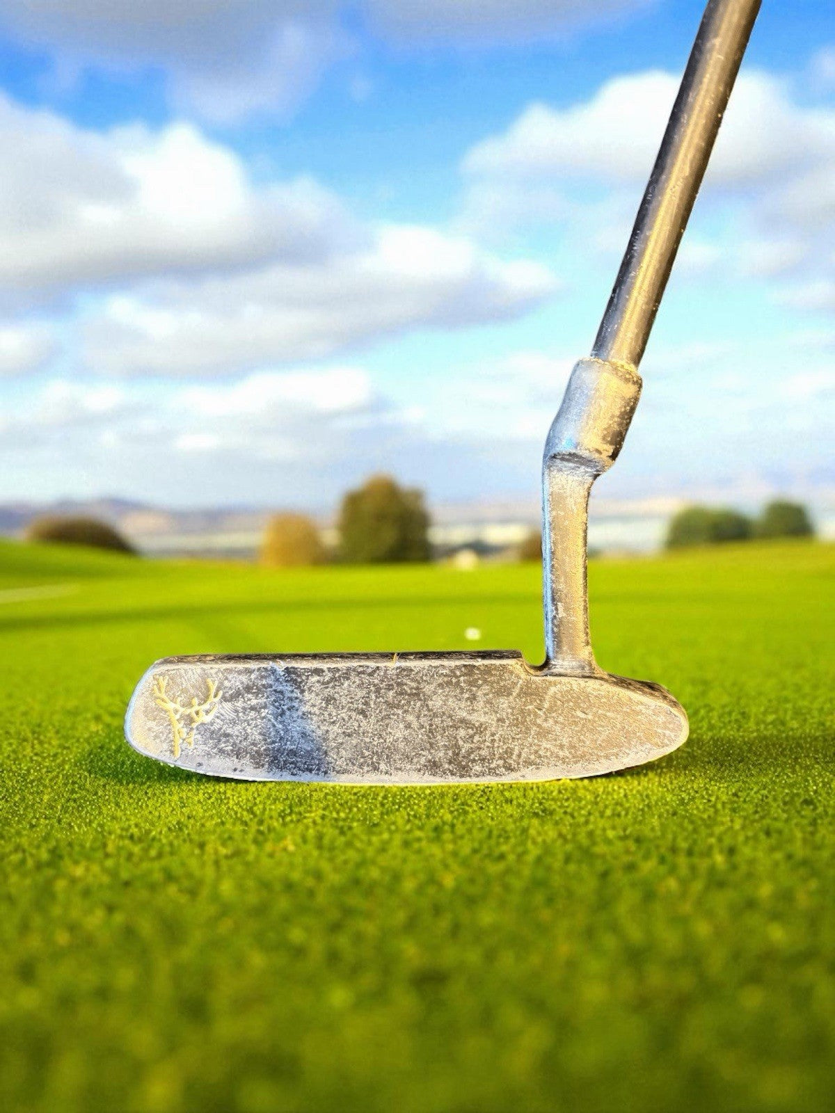 Full Tour Golf Set. Right-Handed Woods, Irons, Putter + Bag. See Description.