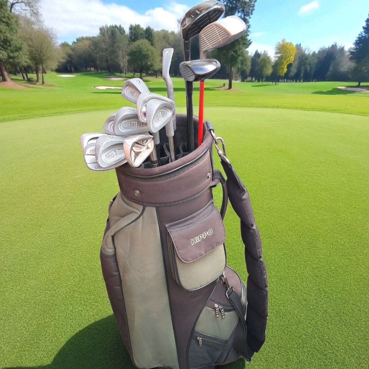 Full Golf Set. Woods, Irons, Putter,  Bag. New Grips. See Description.